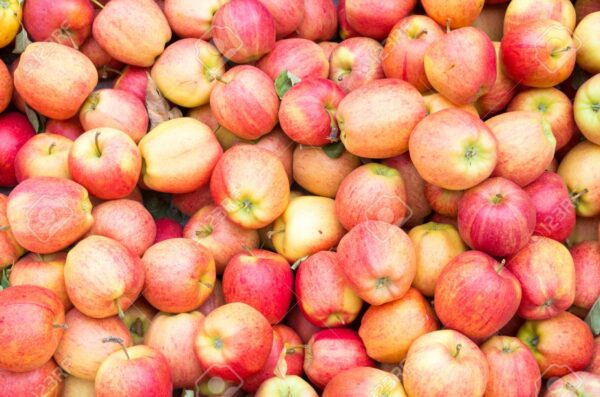 Manzanas  orgánicas o agroecológicas  1 kg.