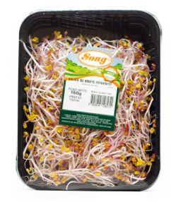 Brotes de rabanitos 150 gr (blanco y colorados)