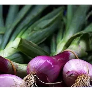 Cebolla de verdeo 300 gr.