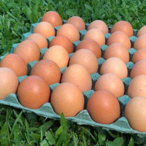 Maple de huevos agroecologicos libre de jaulas de Arrecifes