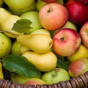 Combo Alto Valle 1 kg. Manzanas rojas + 1 kg. Peras ambas orgánicas/ agroecológicas