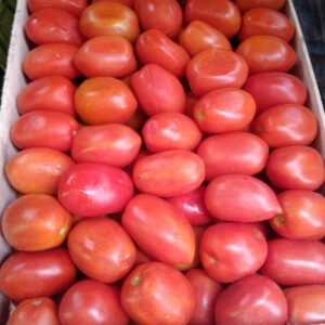 Tomates peritas agroecológicos 1 kg.