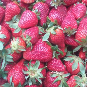 Frutillas 500 gr.