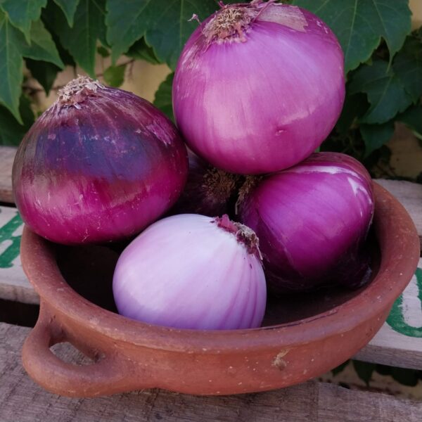 Cebolla morada orgánica 1 kg.