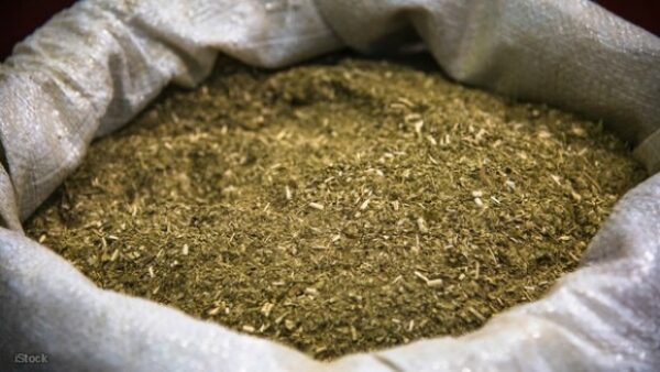 Yerba blend suelta UTT 5 kg