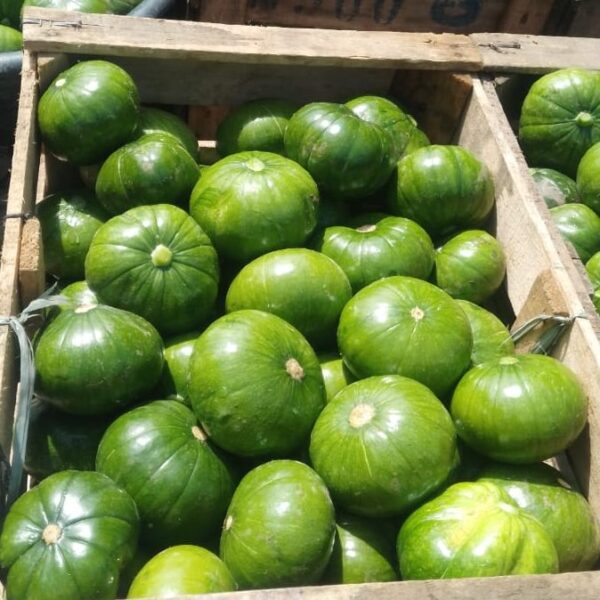 Zapallitos Platense / Oran 1 kg