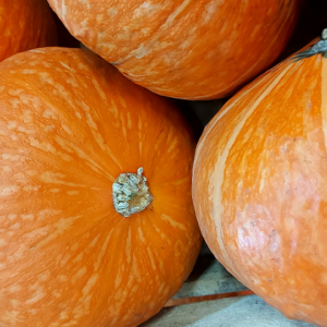 Zapallo princesa x 1kg